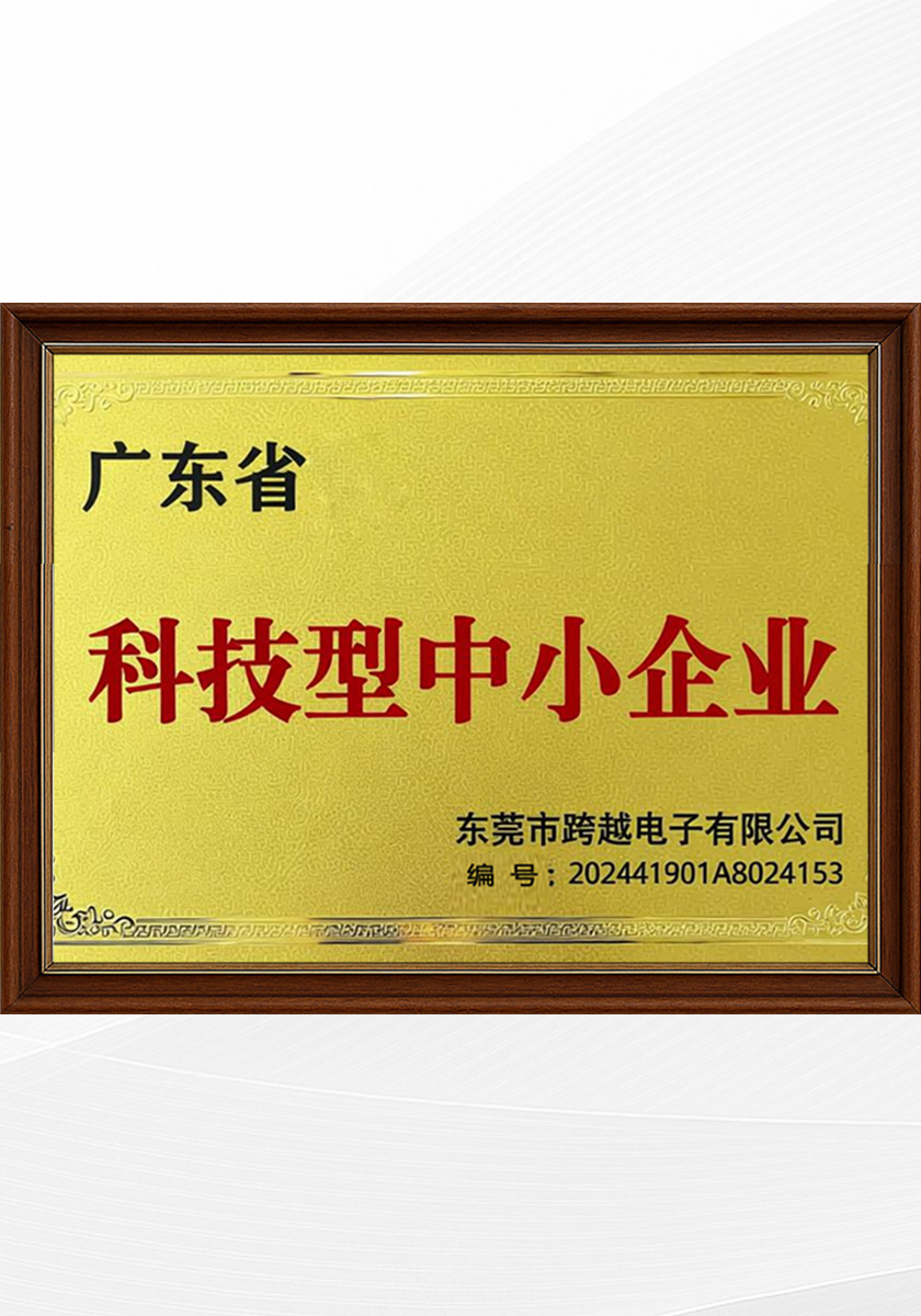 广东省科技型中小企业